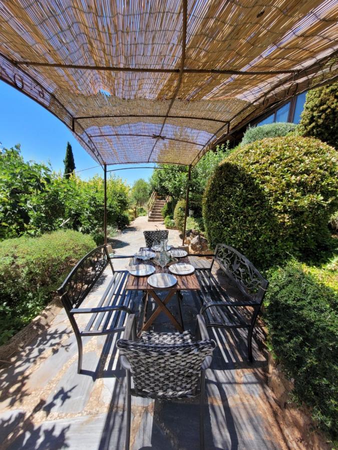 El Mirador Del Chispano Ayllón 外观 照片
